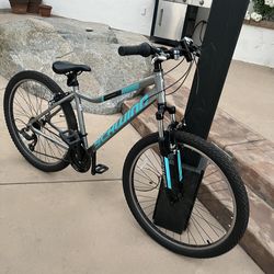 Schwinn standpoint mountain bike