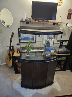 40 Gallon Bow Front Aquariam Plus Stand