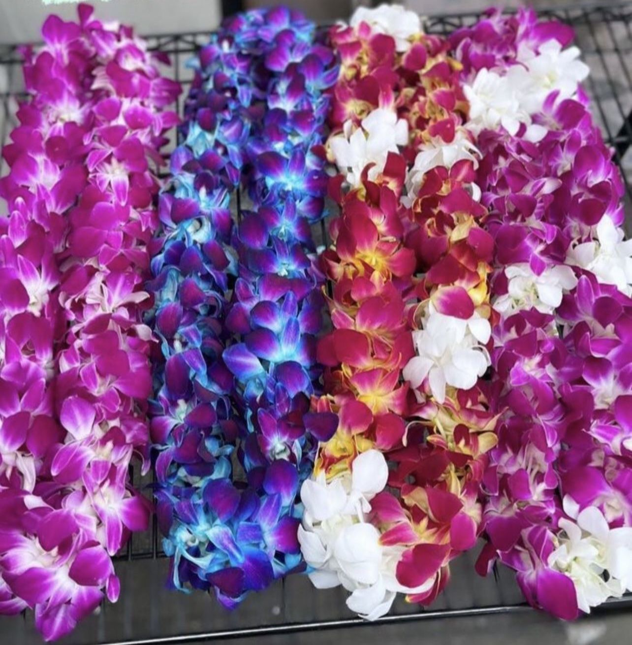 Graduation Orchid Leis 