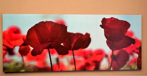 Canvas abstract rose picture