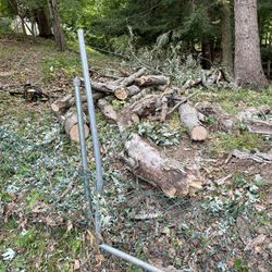 Free Firewood 