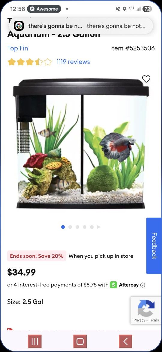 Betta Duo Aquarium