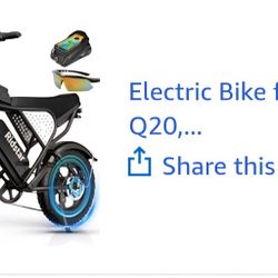 Q20 Electric Bike for Adults
