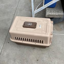 Sell 1pm- Dog Kettle 