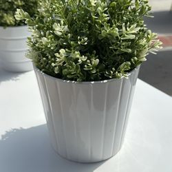 Faux IKEA Plants 🪴