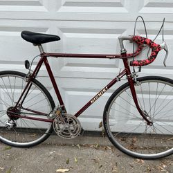 Nishiki Olympic 12 Speed for Sale in Los Angeles CA OfferUp
