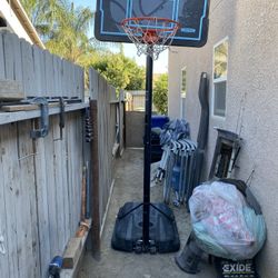 Trampoline & Basketball Hoop