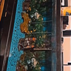 75 Gallon Fish Tank W/ Everything