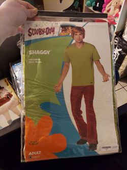Shaggy from Scooby doo