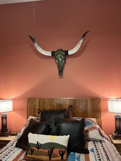 Custom Cow Skull & Horns