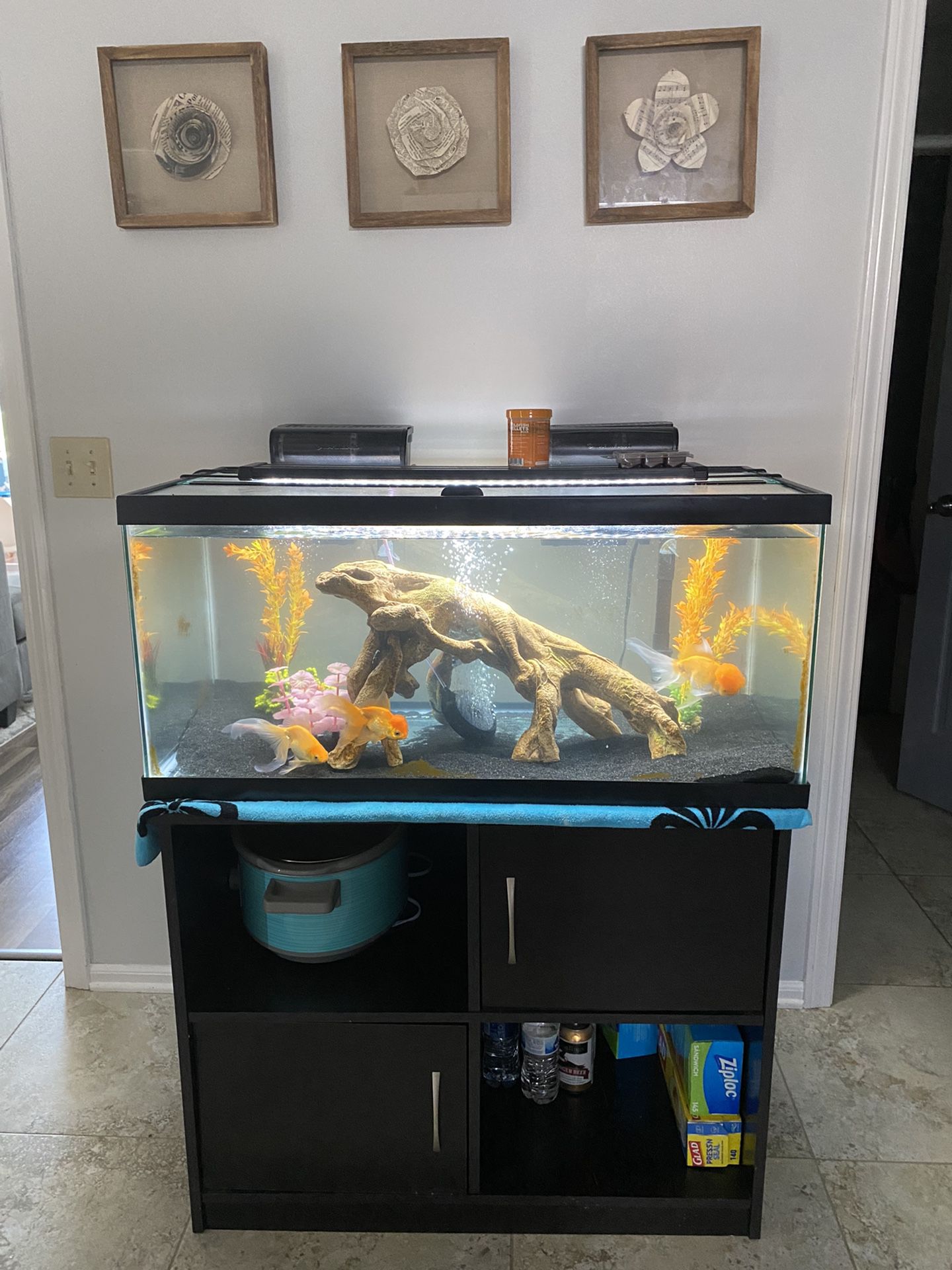 55 Gallon Fish Tank, Stand, And All Supplies!