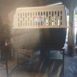 Large Dog Kennel