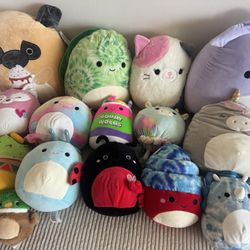 Huge Squishmallow Lot – 40+ Pieces! Jumbos, Mediums, Minis & Halloween Bags – Smoke-Free Home 