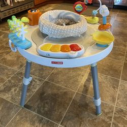 Skip Hop Baby Activity Center