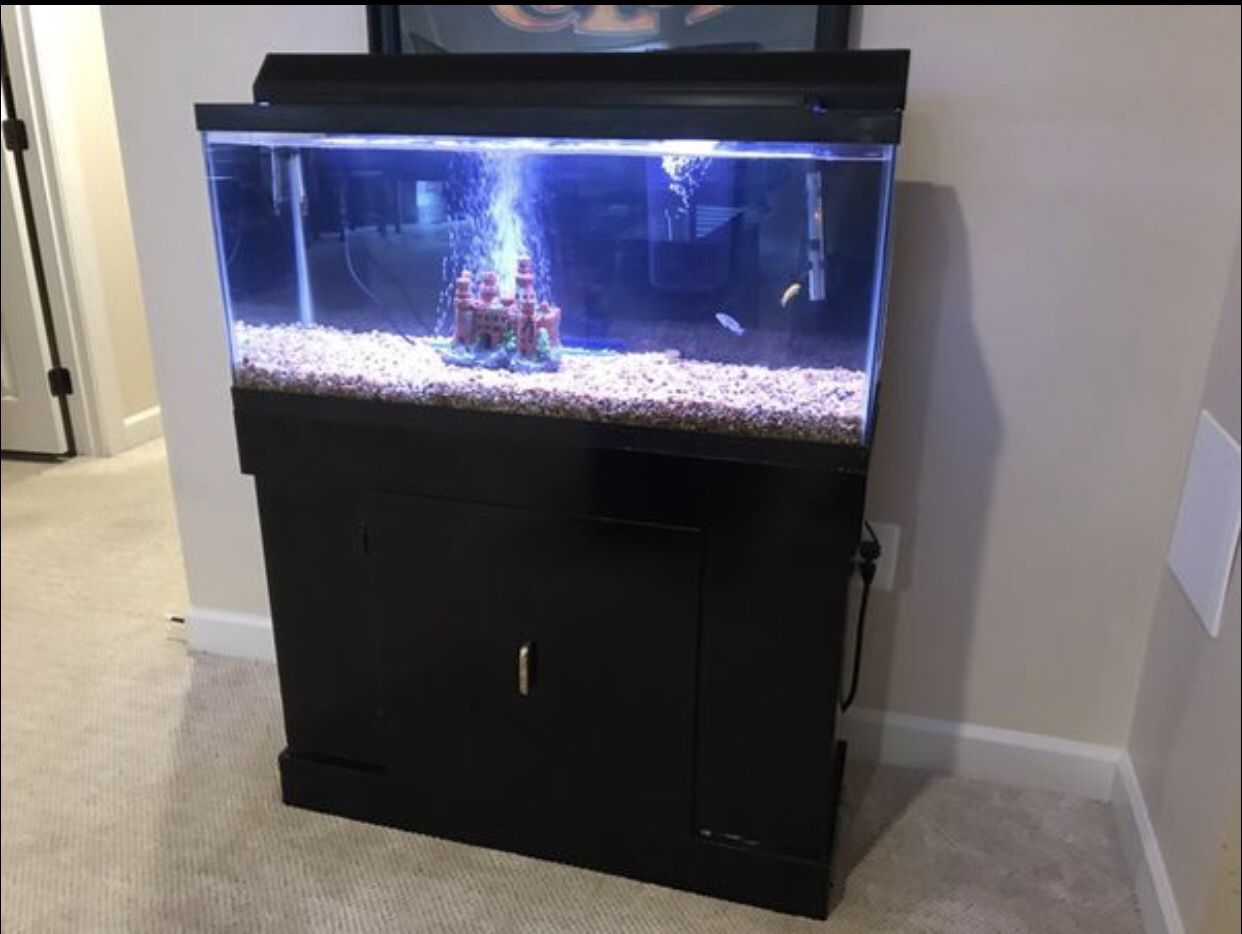 30 Gallon Fish Tank + Stand