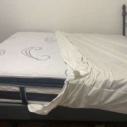 Queen Bed (mattress, Box Spring, Frame)