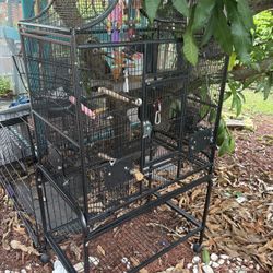 Parrot / bird Cage 100 Bucks 