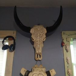 Engraved Bull Skulls For Sale