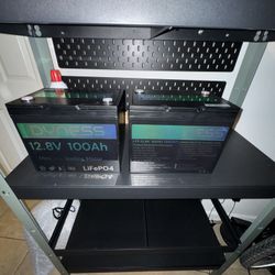 Dyness 12.8V 100Ah LiFePO4 Battery – Brand New (x2 available)”