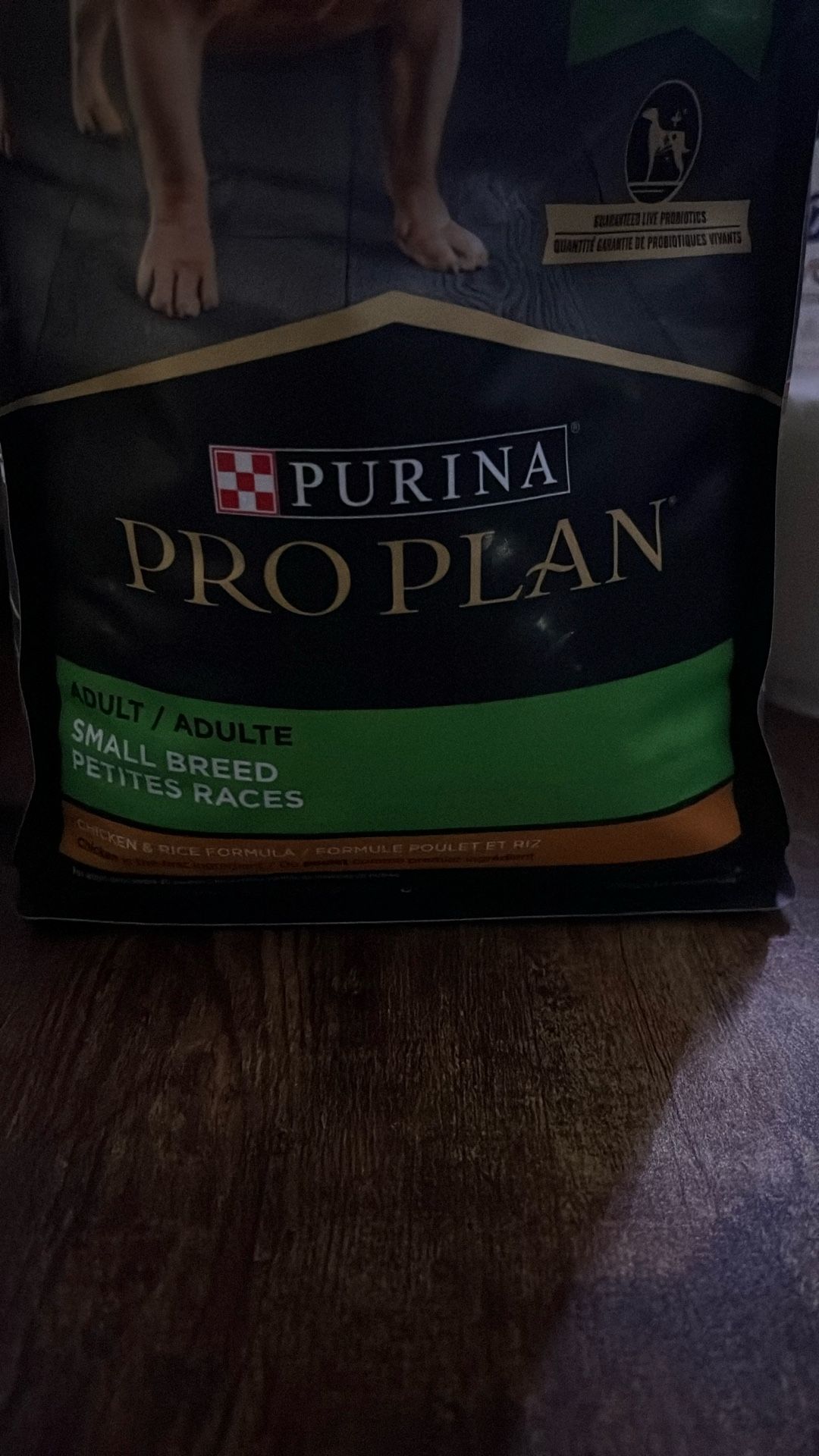 Dog Food 