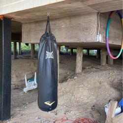 Everlast Heavy Bag: Great For Martial Arts Practice