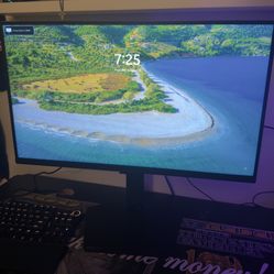 LG Gaming Monitor 