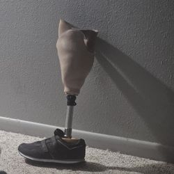 Prosthetic Leg