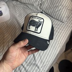 Black Sheep Hat