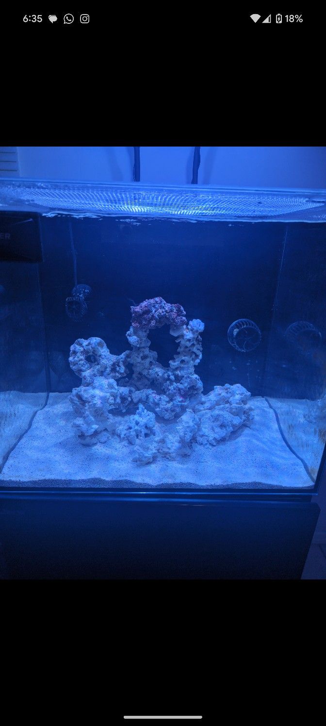 Red Sea E170