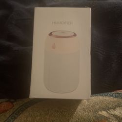 Mini Pink Humidifier 