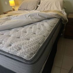 Queen Size Bed 
