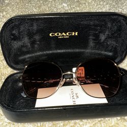 Coach aviator glasses