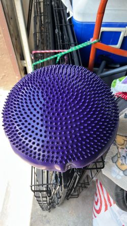 Pet balance disk