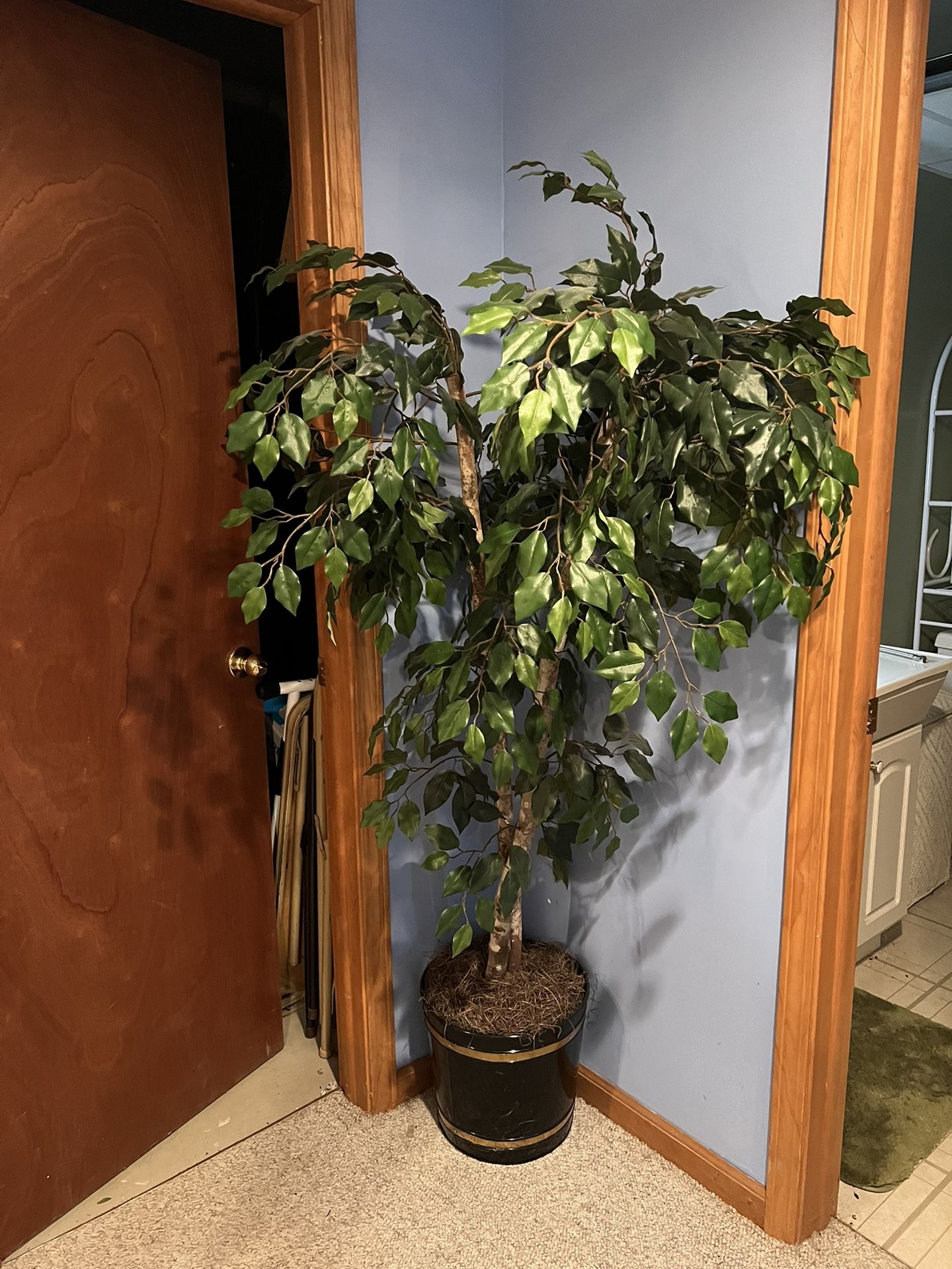 Artificial Ficus Tree 5 1/2 Feet Tall