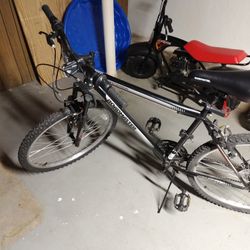 Road Master GrantePeak