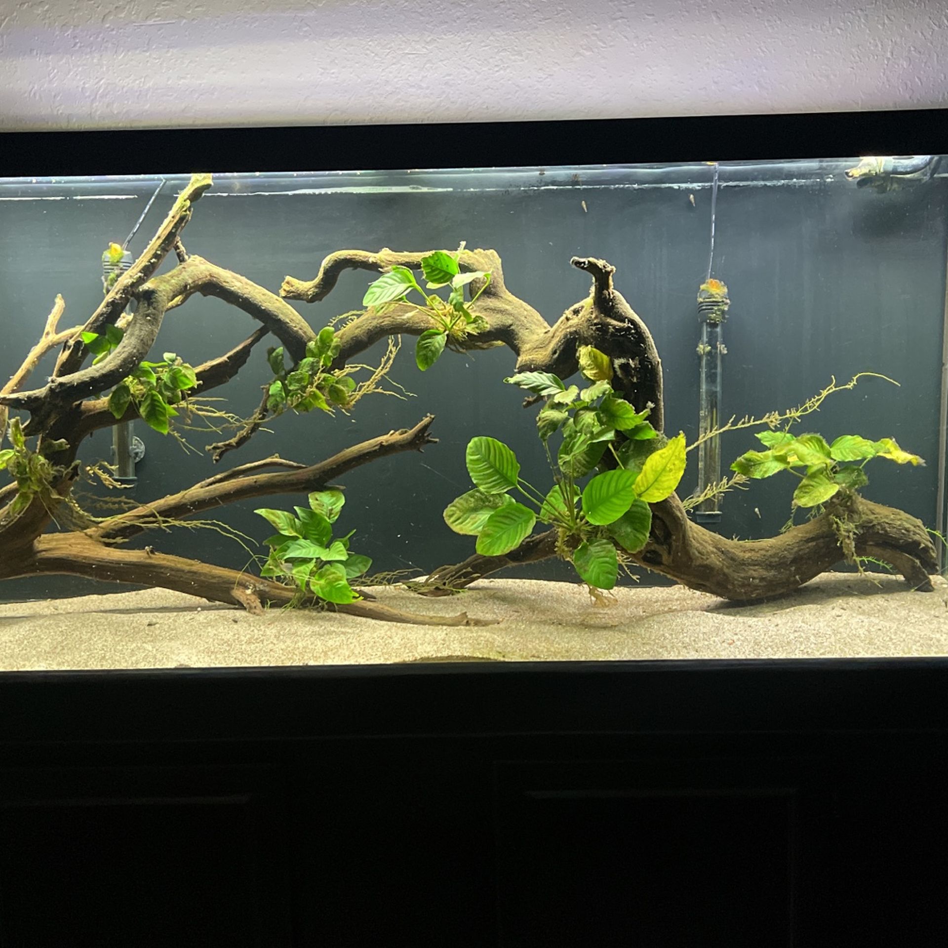 125 Gallon Fish Tank and Stand (Read Description)