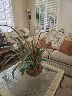 Faux Orchid Plant Arrangement - $40