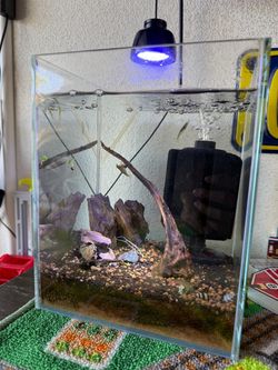 2.5 nano tank