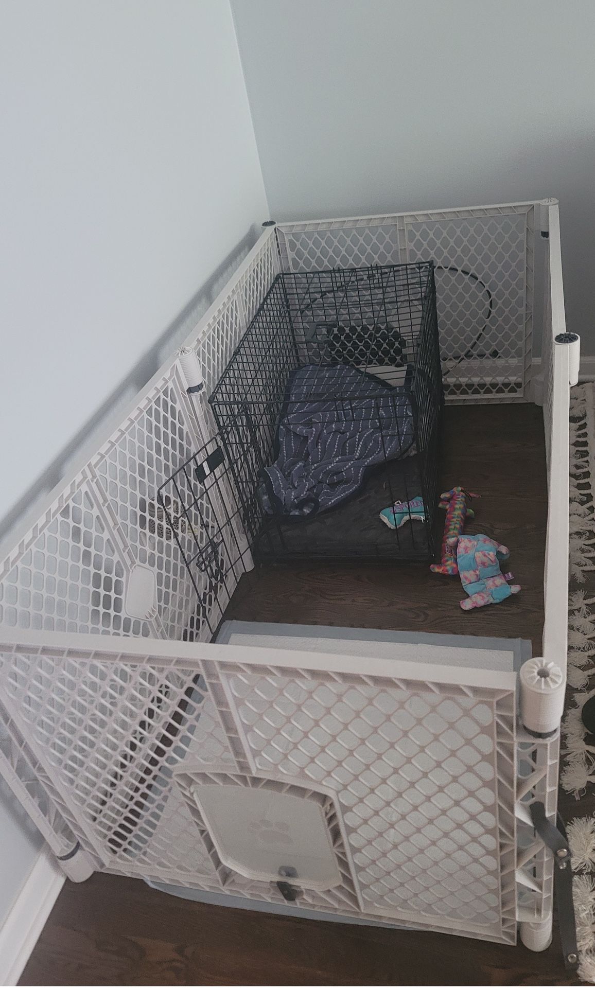 Small Dog Play Pen & Icrate