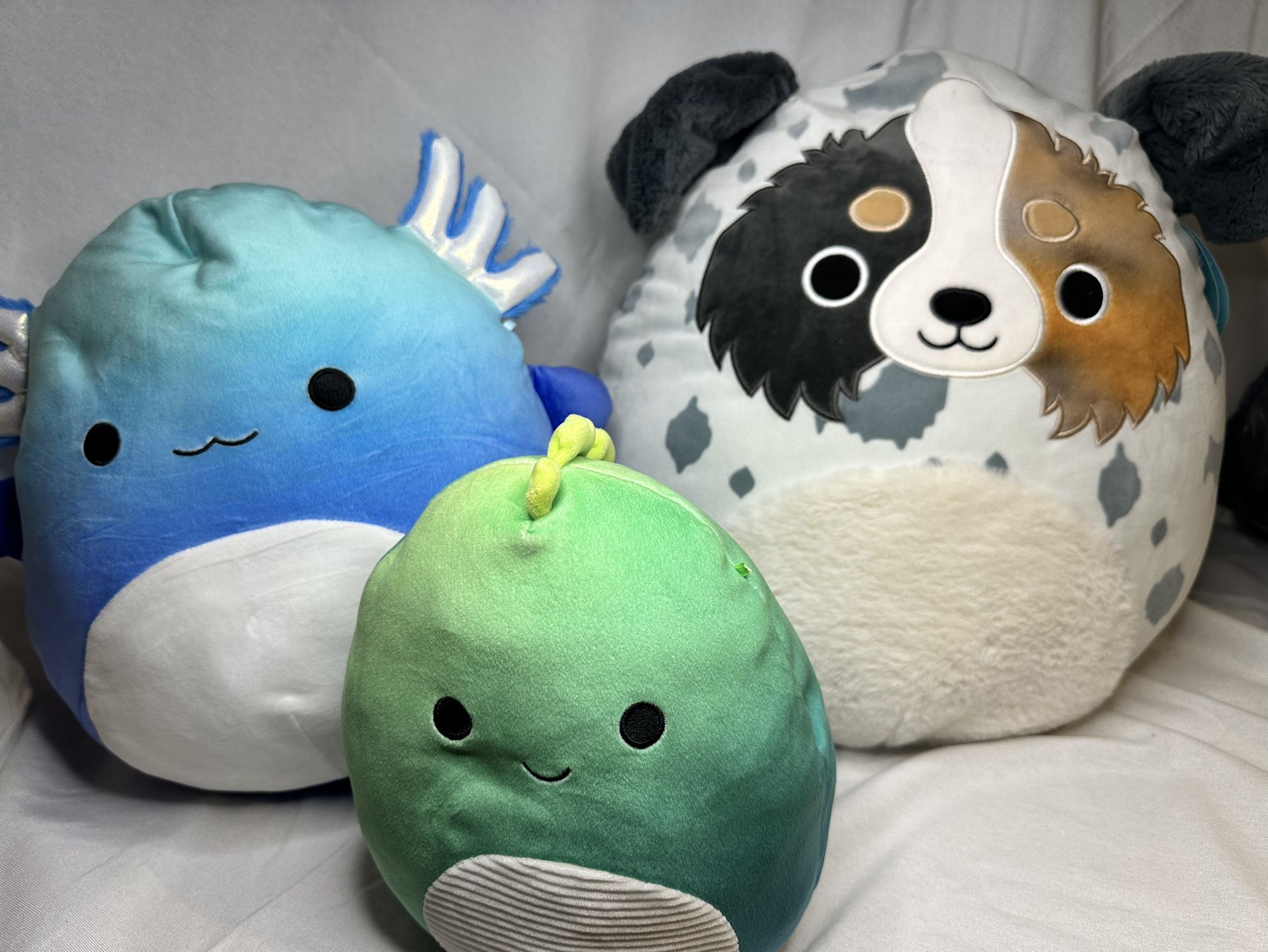 Squishmallow Set