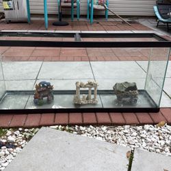 65gallon Aquarium 