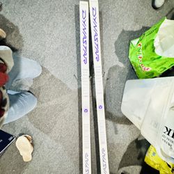 ski
