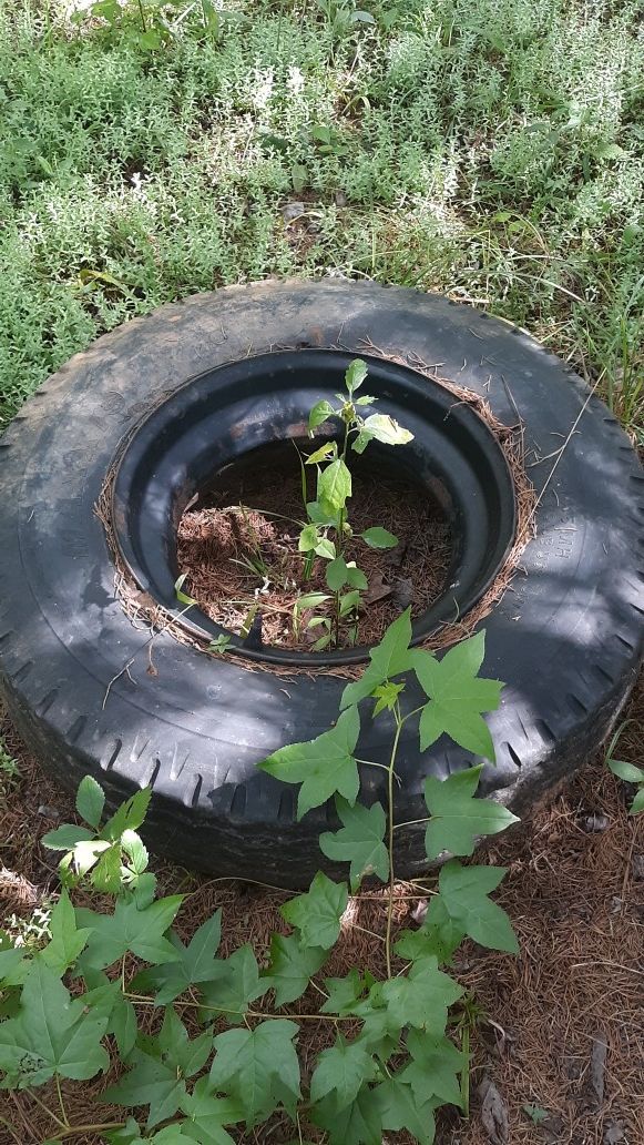 Trailer tires and rims