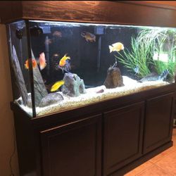 125 Gallons Fish Tank With Stand And Canopy