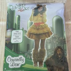The Wizard of Oz Cowardly Lion costume girl size L 12-14