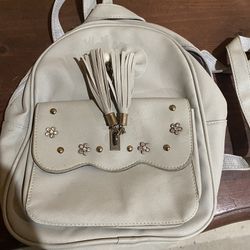 Backpack/ Handbag