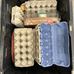 Egg Cartons - Pick Up Only 