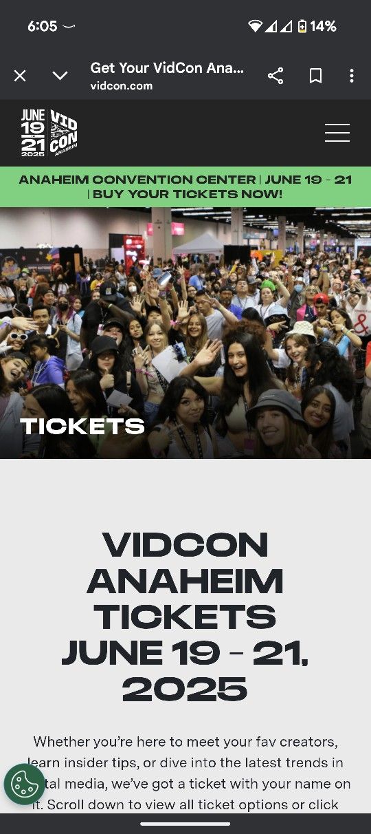 VIDCON Single Day Ticket!!