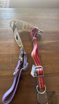 Dog collars