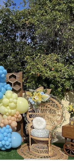 Peacock Chair For Sale 